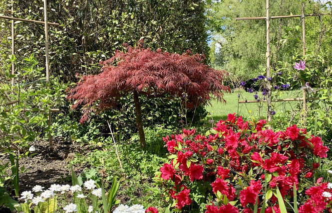 Le Clos du Benestar 16 - Mauvezin-d'Armagnac