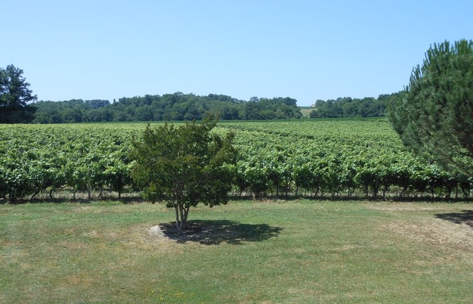 Domaine du Hourtica, Jean Tarbe 4 - Labastide-d'Armagnac