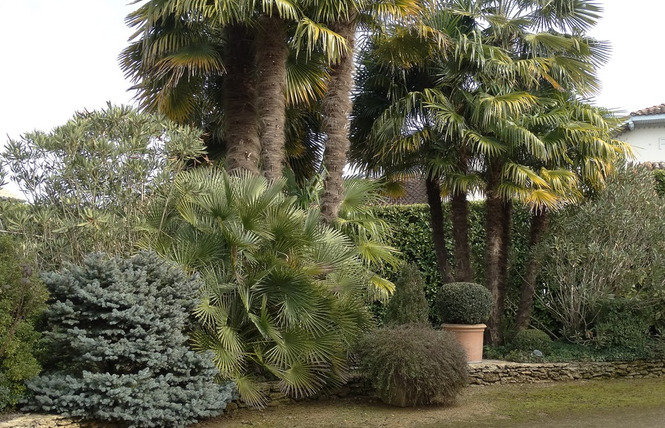 Côté Jardin 2 - Hontanx