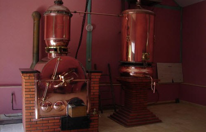 Domaine de Boingnères 2 - Labastide-d'Armagnac