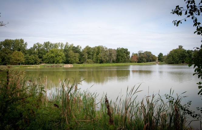 Grand Etang 5 - Hontanx