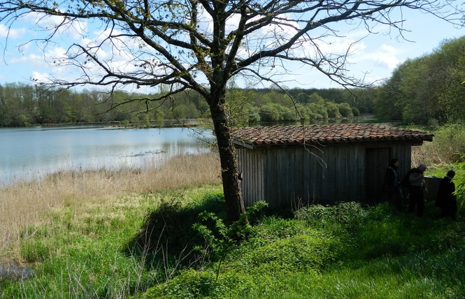 Grand Etang 4 - Hontanx