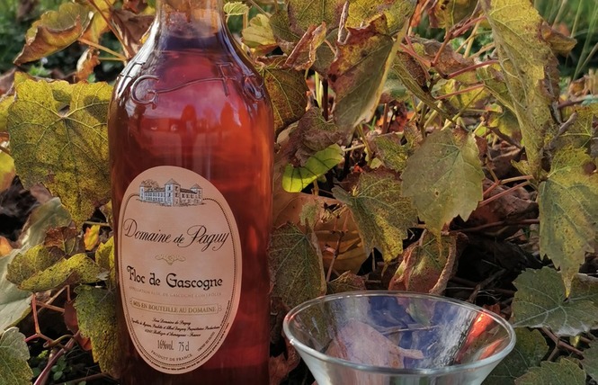 Domaine de Paguy 6 - Betbezer-d'Armagnac