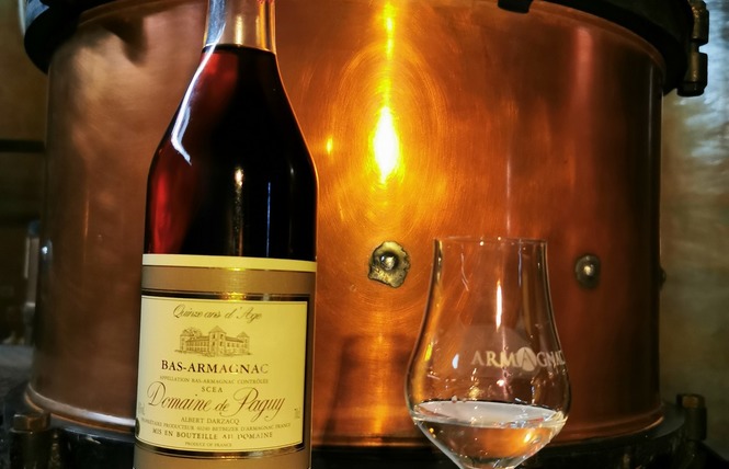 Domaine de Paguy 4 - Betbezer-d'Armagnac