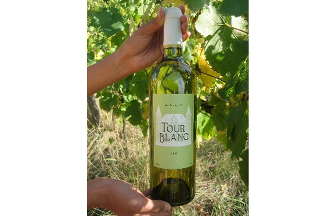 SCEA Château Tour Blanc 1 - Parleboscq