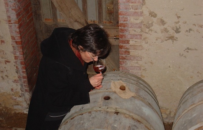 Domaine de Laubesse 4 - Hontanx