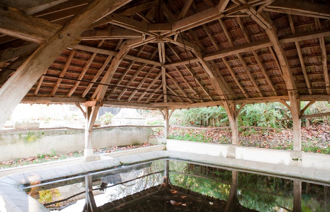 Visite commentée de Labastide d'Armagnac 5 - Labastide-d'Armagnac