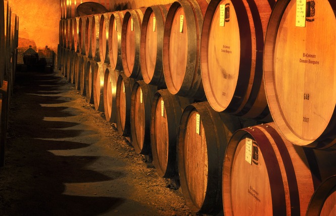 Domaine de Boingnères 3 - Labastide-d'Armagnac