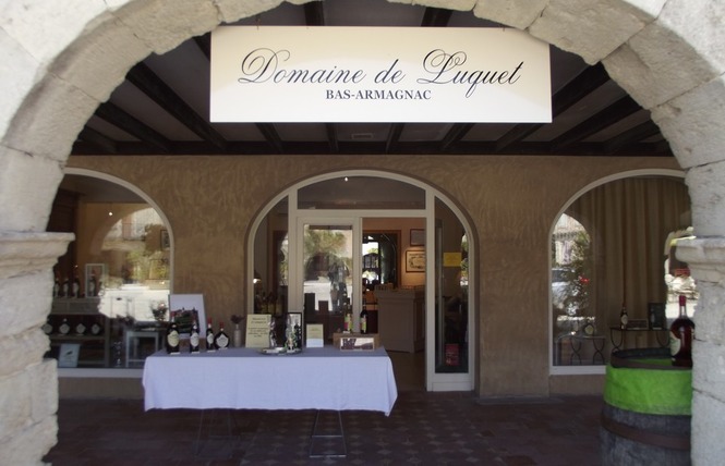 Domaine de Luquet 2 - Labastide-d'Armagnac