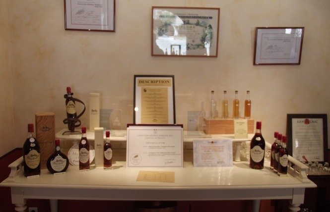 Domaine de Luquet 3 - Labastide-d'Armagnac