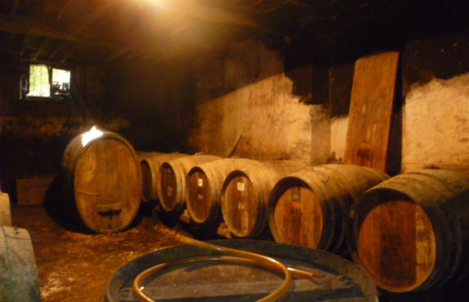 Château du Prada 2 - Labastide-d'Armagnac