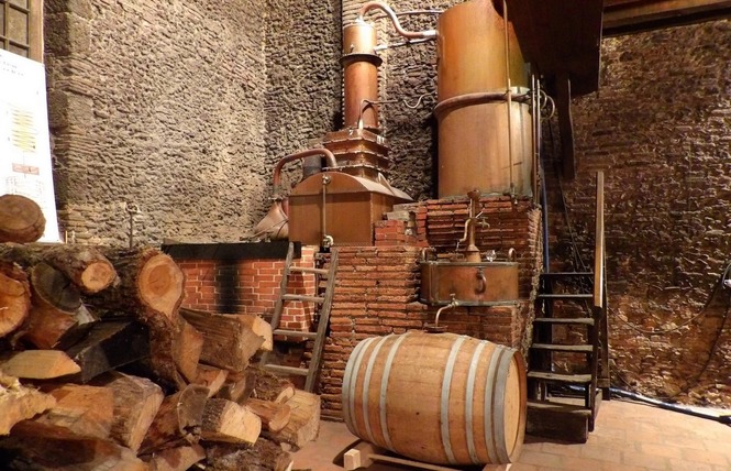 Domaine Départemental d'Ognoas 3 - Arthez-d'Armagnac