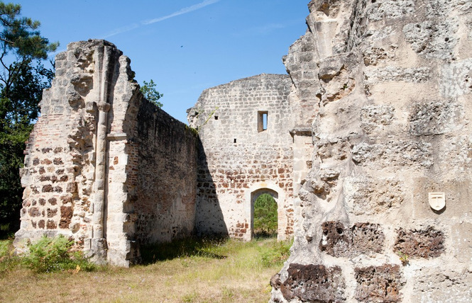 Commanderie de Bessaut 4 - Lencouacq