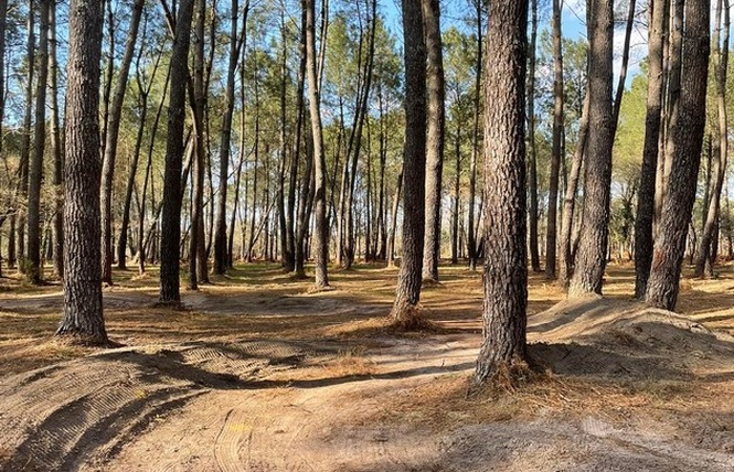 Pumptrack 1 - Arue