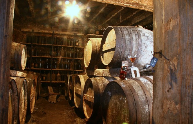Domaine de Lassaubatju 3 - Hontanx