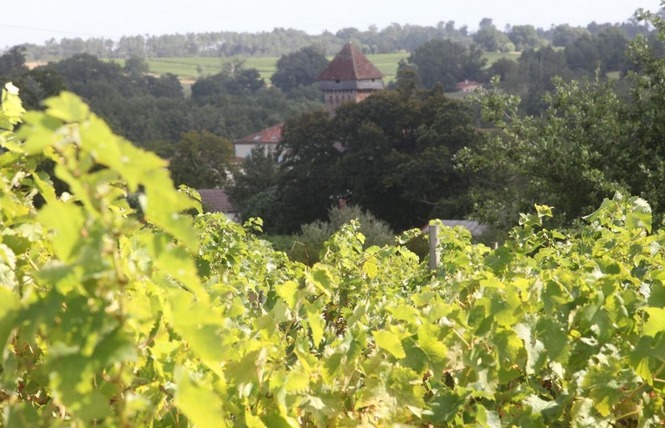Domaine de Lassaubatju 4 - Hontanx