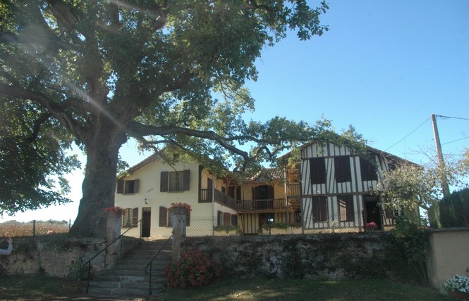 Domaine du Hourtica, Alain Gaube 2 - Labastide-d'Armagnac