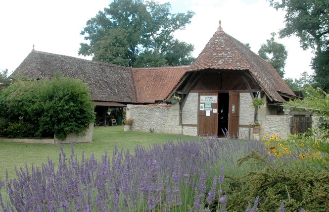 Musée du Paysan au Chai de Soube 2 - Saint-Justin