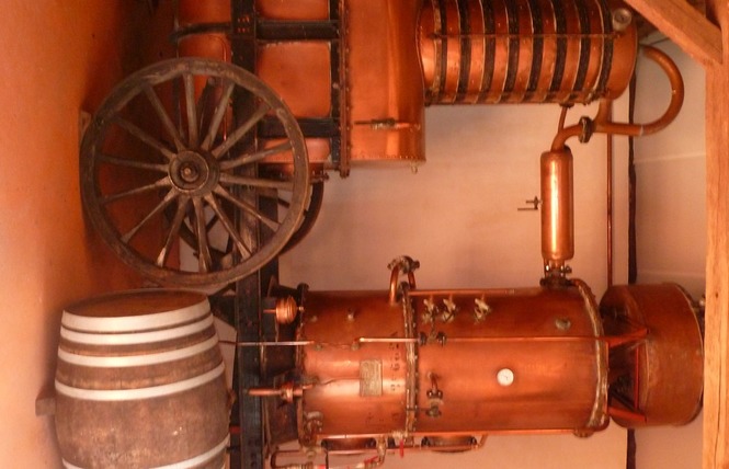 Domaine d'Espérance 5 - Mauvezin-d'Armagnac