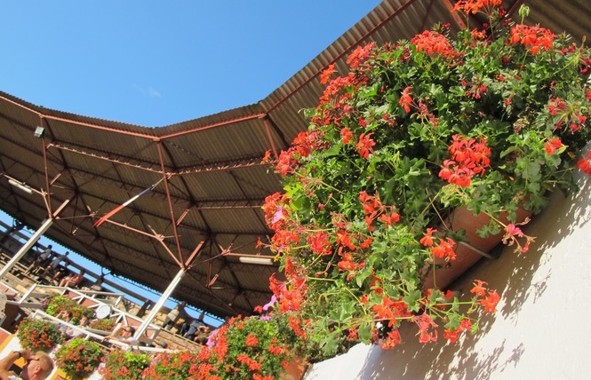 Arènes de Roquefort 3 - Roquefort