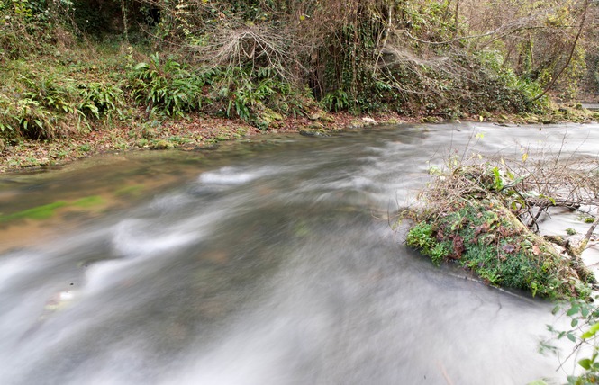 Rivière de pêche sur l'Estampon 1 - Roquefort