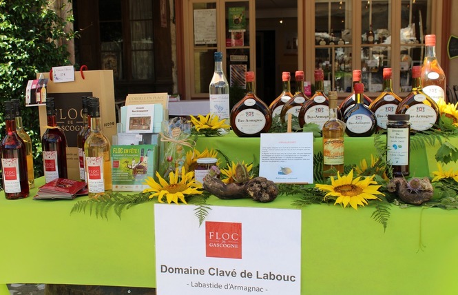 Ferme de Labouc 5 - Labastide-d'Armagnac
