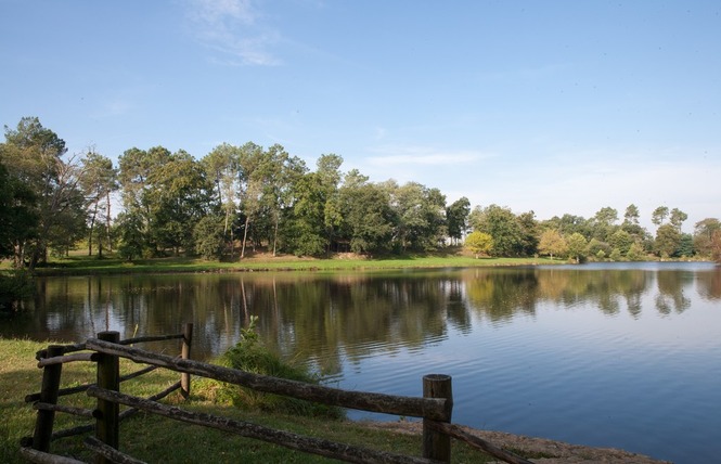 Etang classé de Sainte-Foy 6 - Sainte-Foy