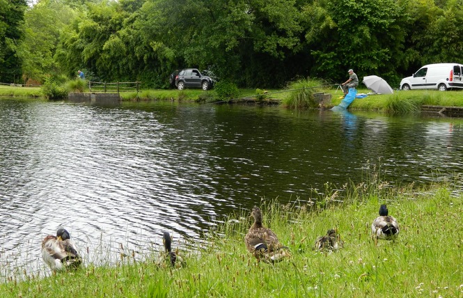 Etang classé de Sainte-Foy 7 - Sainte-Foy