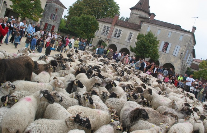 Visite commentée de la Bastide de Saint-Justin 5 - Saint-Justin