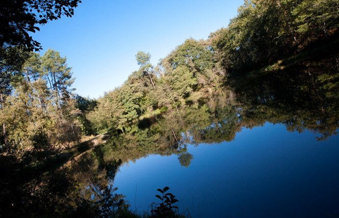 Parcours d'Orientation du plateau de Mouneyres 2 - Sarbazan
