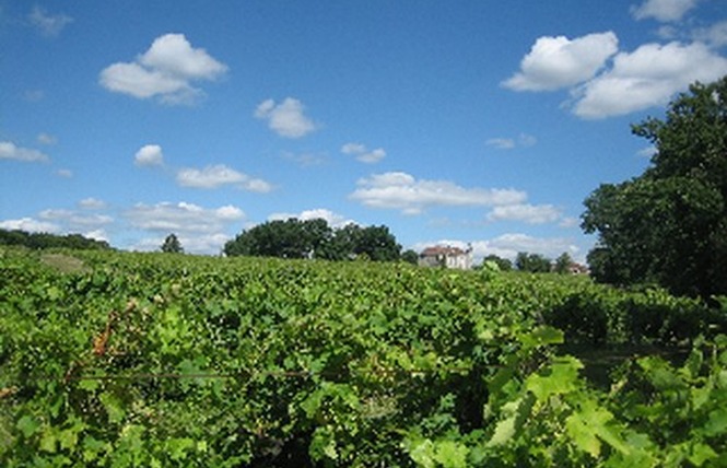 SCEA Château Tour Blanc 4 - Parleboscq