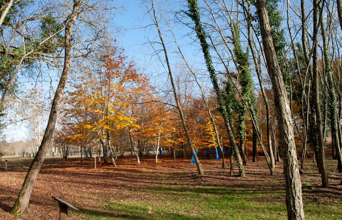 Arboretum 1 - Vielle-Soubiran