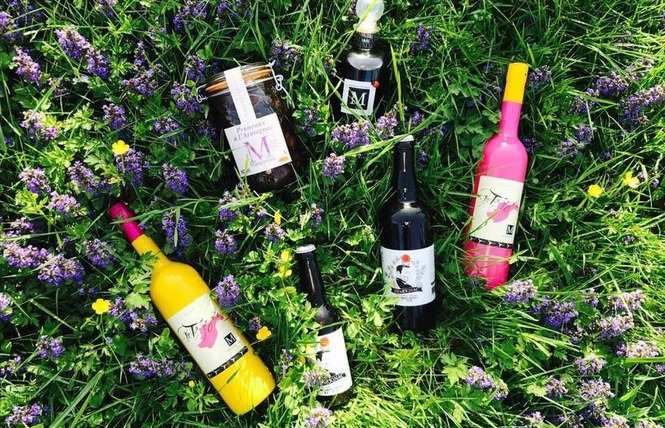 Domaine de Marquestau & Co 1 - Hontanx