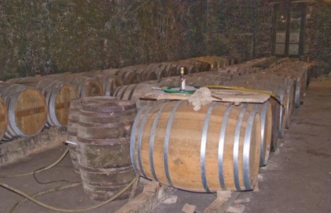 Domaine du Castagnet 3 - Parleboscq