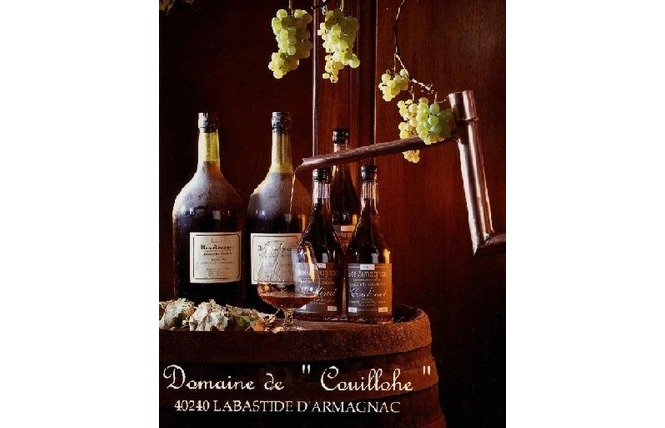 Domaine de Couillohe 1 - Labastide-d'Armagnac
