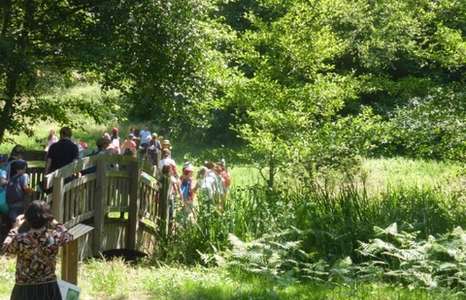 Zone sensible Sabaille 2 - Créon-d'Armagnac