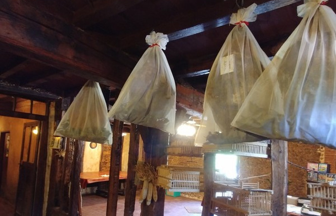 Ferme de Bacoge 4 - Hontanx
