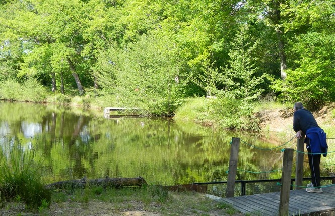 Étang du Lamond 3 - Lacquy