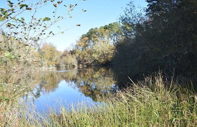 Zone sensible Sabaille 6 - Créon-d'Armagnac