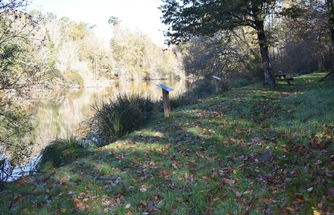 Zone sensible Sabaille 8 - Créon-d'Armagnac