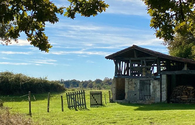 Domaine Bourgade 17 - Betbezer-d'Armagnac