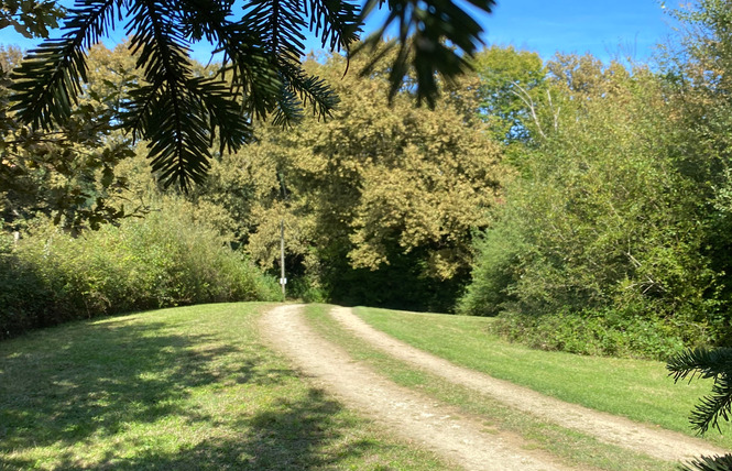 Domaine Bourgade 19 - Betbezer-d'Armagnac