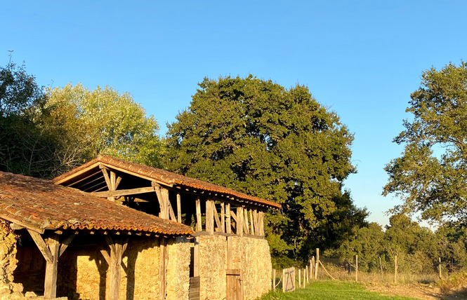 Domaine Bourgade 22 - Betbezer-d'Armagnac