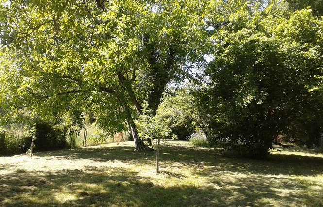 Gîte des Ecureuils 9 - Villeneuve-de-Marsan