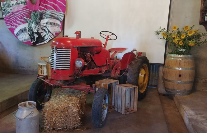 Domaine de Marquestau & Co 5 - Hontanx