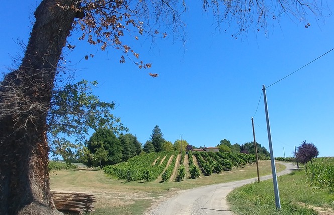 Domaine de Marquestau & Co 3 - Hontanx