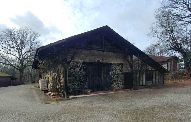 Domaines Laberdolive 6 - Labastide-d'Armagnac
