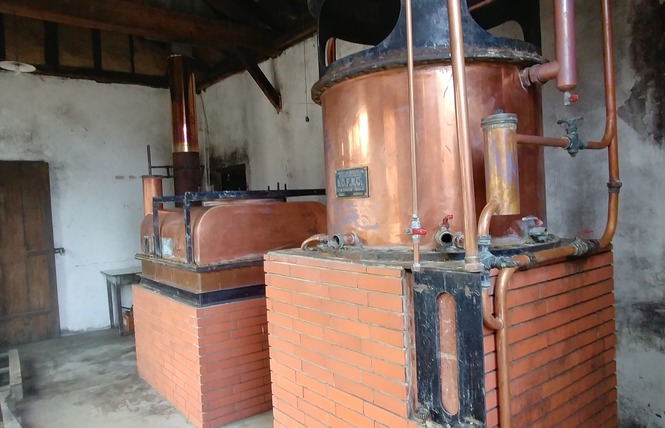 Domaines Laberdolive 5 - Labastide-d'Armagnac