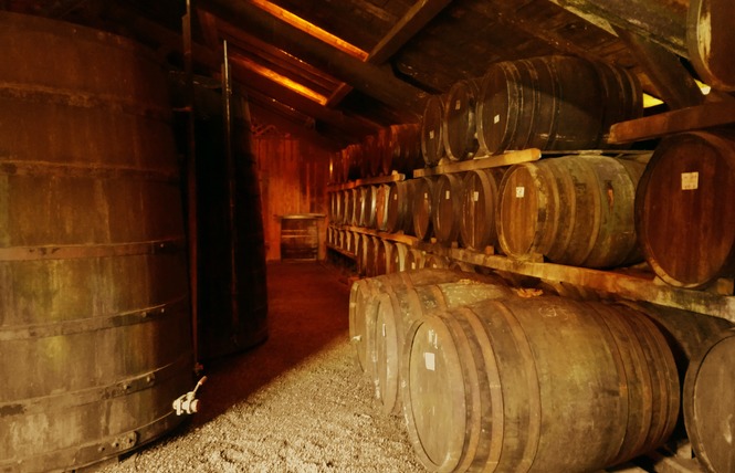 Domaines Laberdolive 3 - Labastide-d'Armagnac