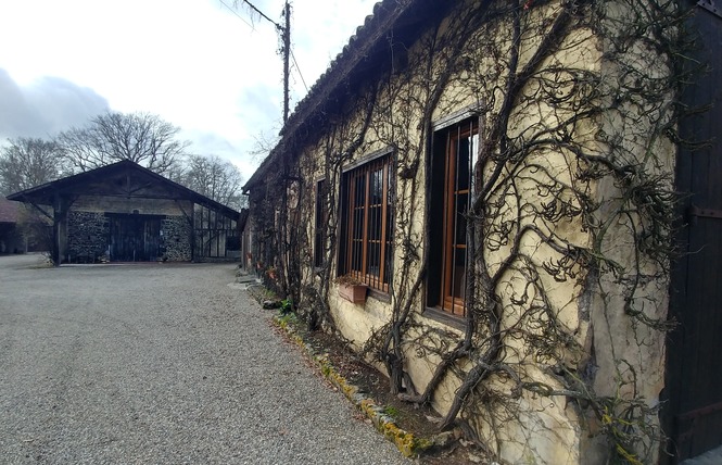 Domaines Laberdolive 4 - Labastide-d'Armagnac